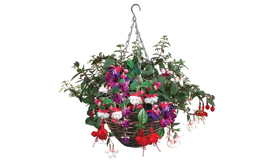 Image 2: Pair Mixed Floral Hanging Baskets