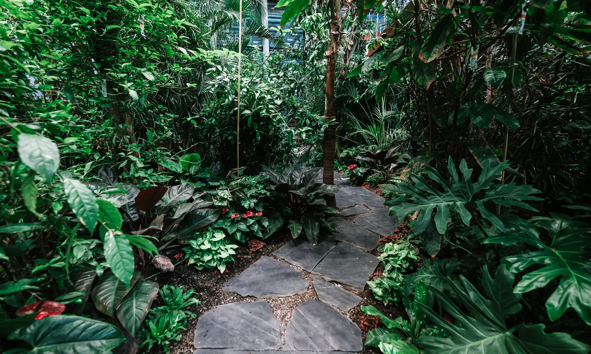 Do 8% zniżki na Park rozrywki w Taras Widokowy Olivia Star