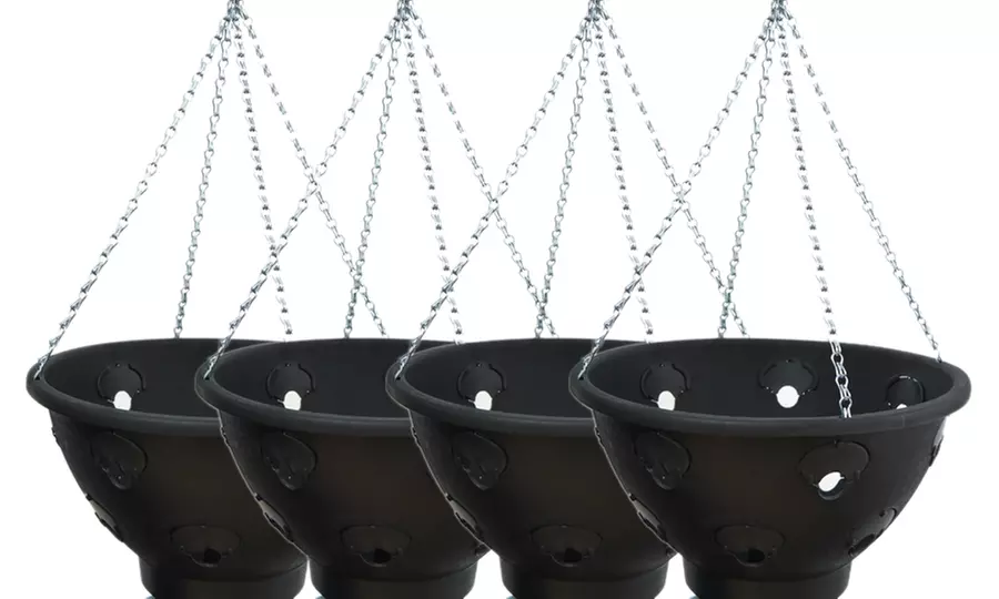 Garden Hanging Basket Collection