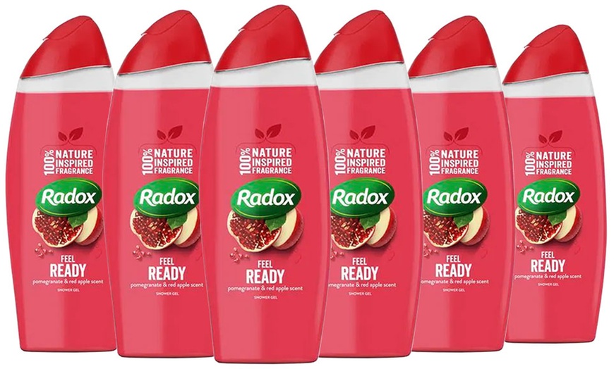 Image 1: Six Bottles of Radox Shower Gel