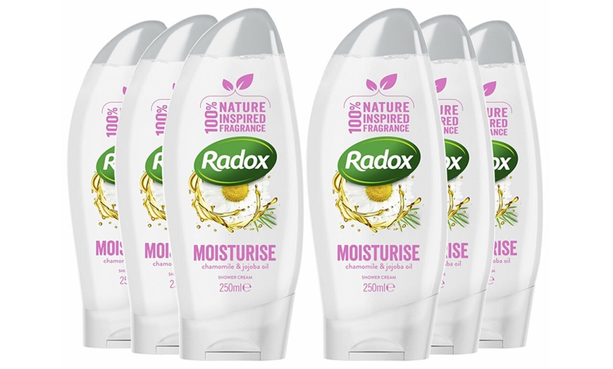 Image 18: Radox Shower Gels 250ml