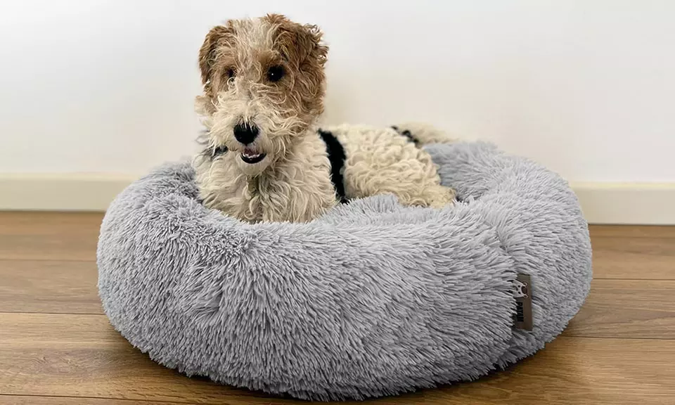 Cuccia extra-soffice per gatti e cani