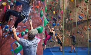 Adult or Youth Day Pass for One, Two or Four at Vertex Climbing Center