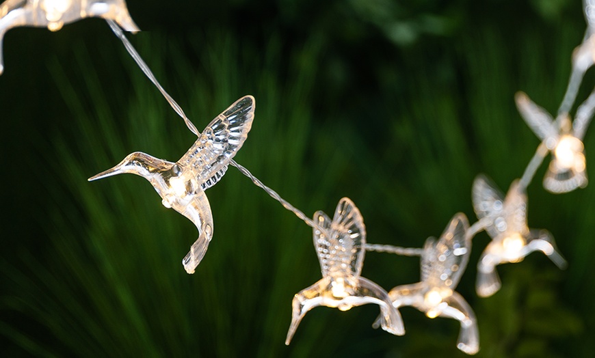 Image 3: Globrite Bird Solar String Lights