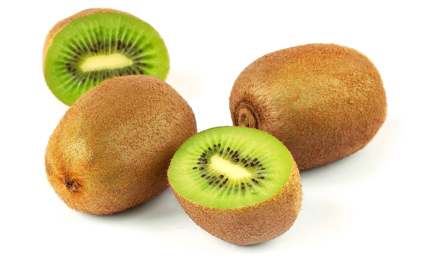 Image 3: 3 o 6 piante di Kiwi Actinidia deliciosa Jenny