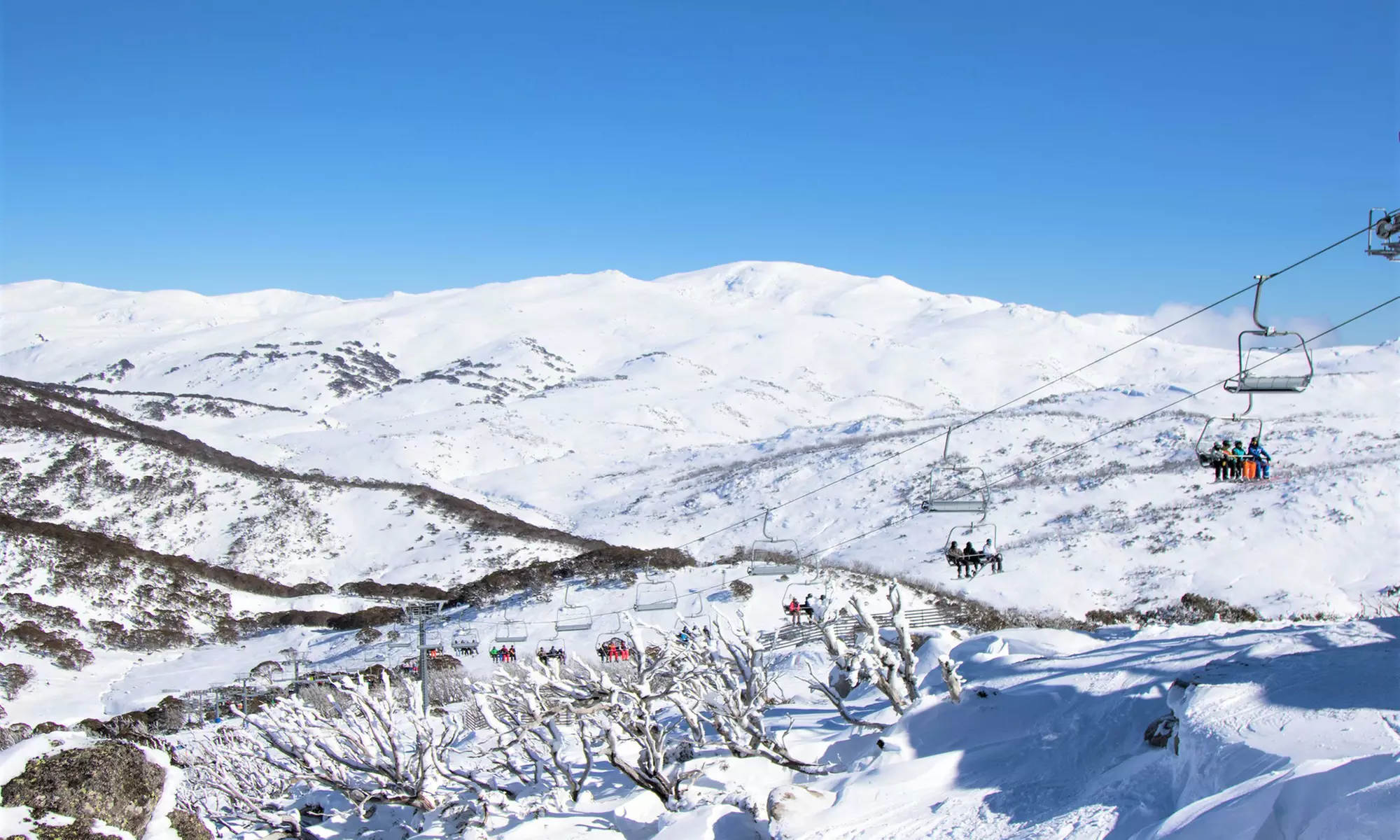 Canberra to Perisher or Thredbo: One-Day Snow Trip with Transfers for One Person with Ozia Tours - Image 3
