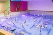 Activités sportives aquatiques et modelages ou soins minceur au choix à AQUA LADY (jusqu'à 89% de réduction) - Second Medium