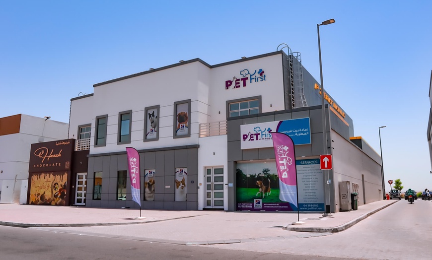 Image 18: Dog / Cat Grooming from Best Veterinary Clinic in the UAE Award Winner