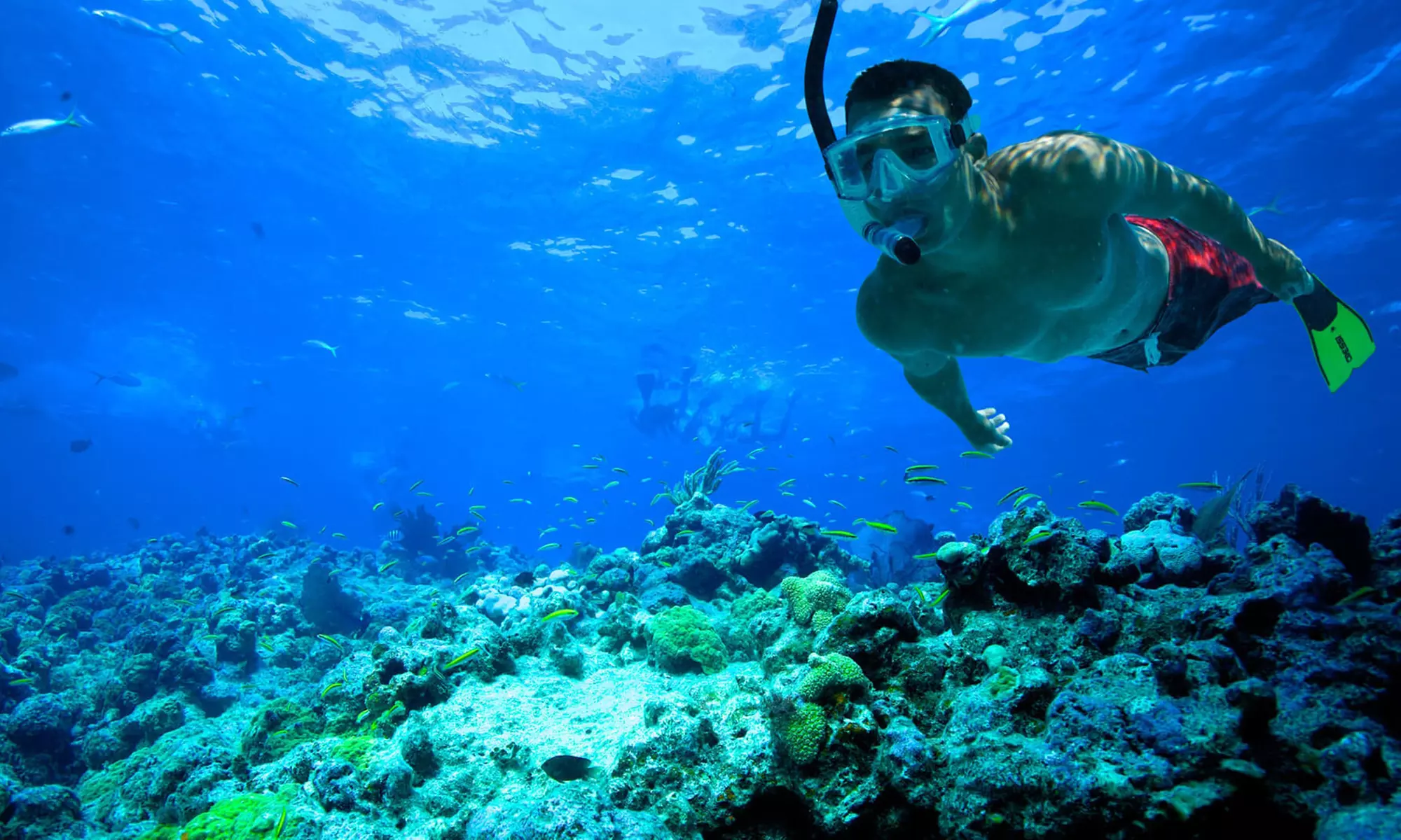 17% Off Snorkeling Trip from Big Dave Tours