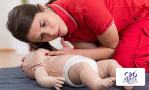 Paediatric First Aid Online Course from Alpha Academy