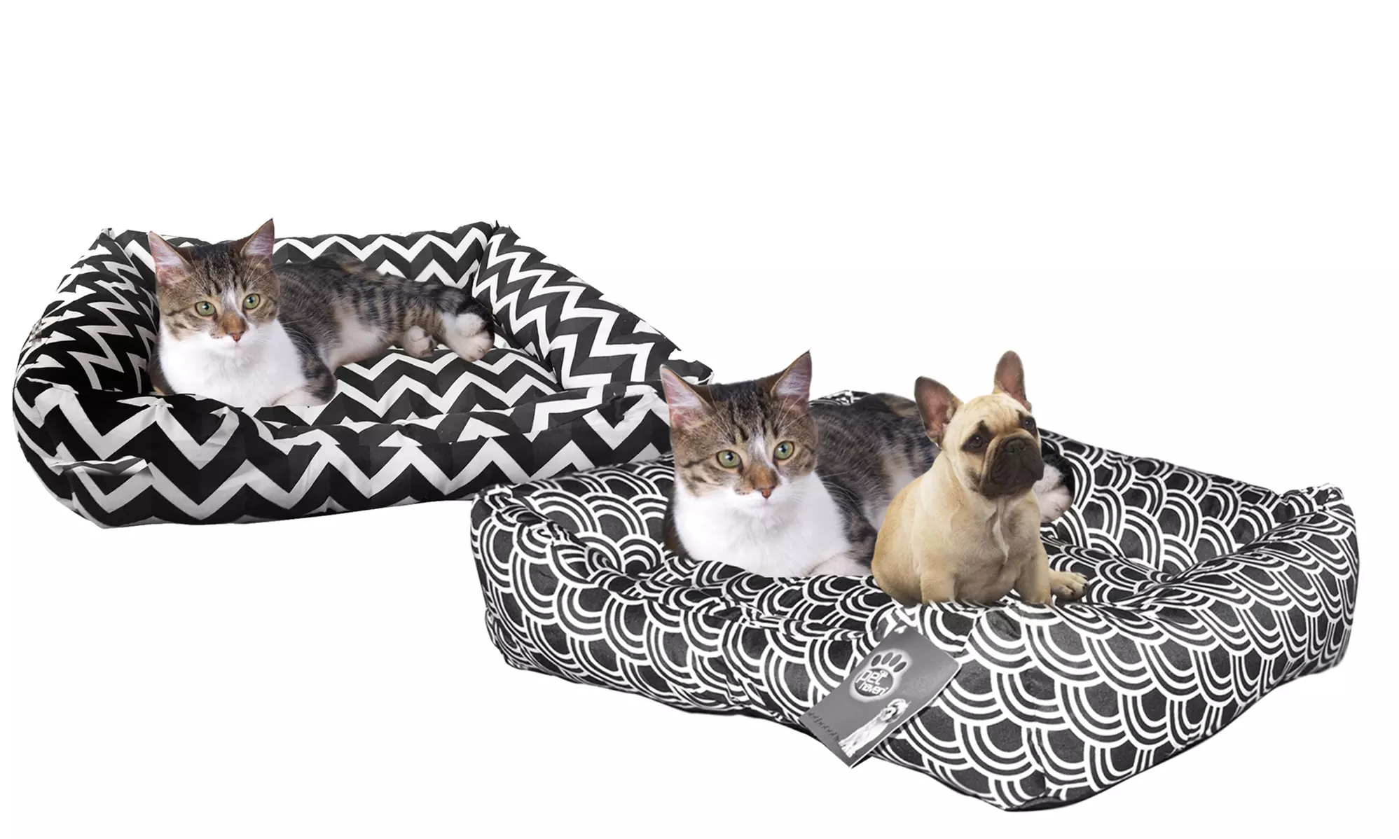 Zummy Low-Bumper Pet Bed - Primary Image