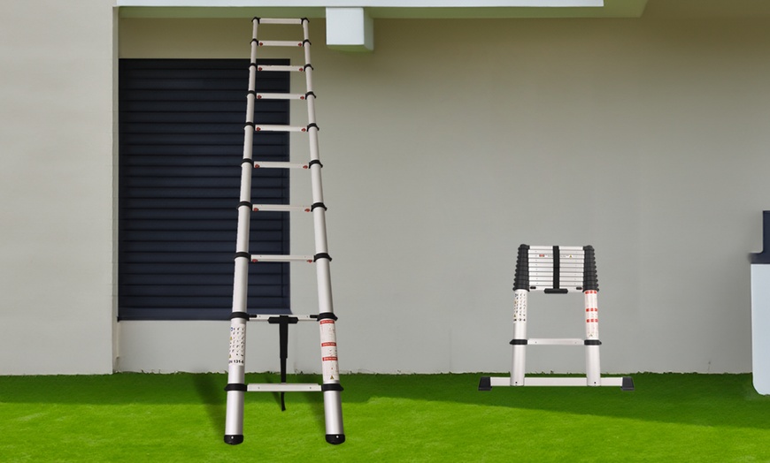 Image 1: Extendable Ladder with a Soft Close Feature