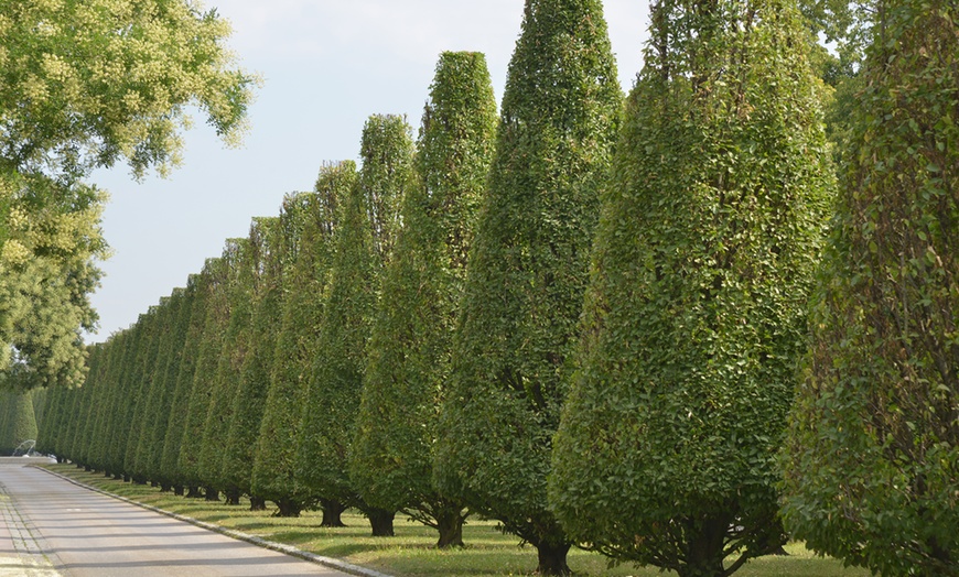 Image 12: Bad Füssing: Superior-Doppelzimmer inkl. Frühstück und Wellness