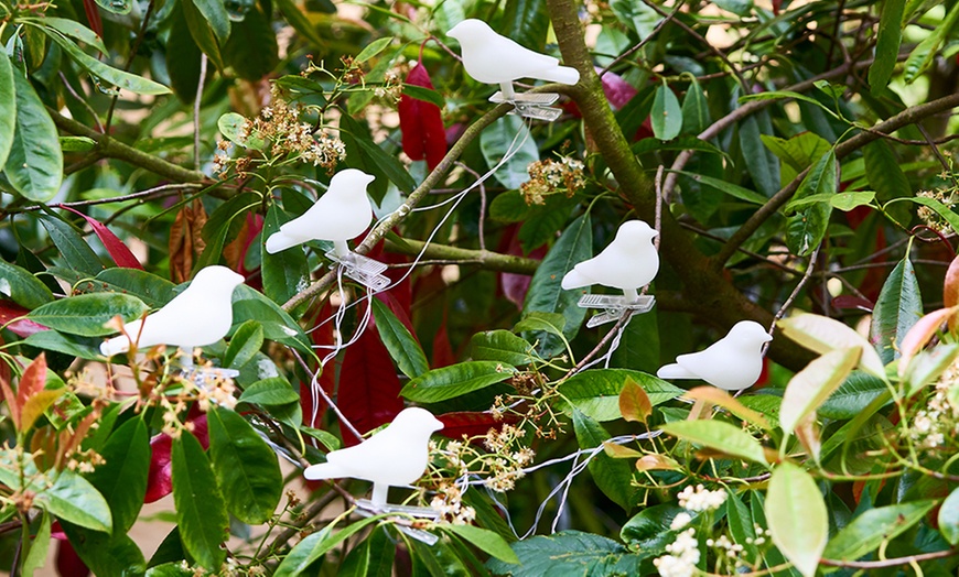 Image 3: Solar Bird Tree Lights