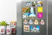 1 ou 2 lots de 3 ou 6 magnets, dimensions au choix, sur Colorland - Image 3