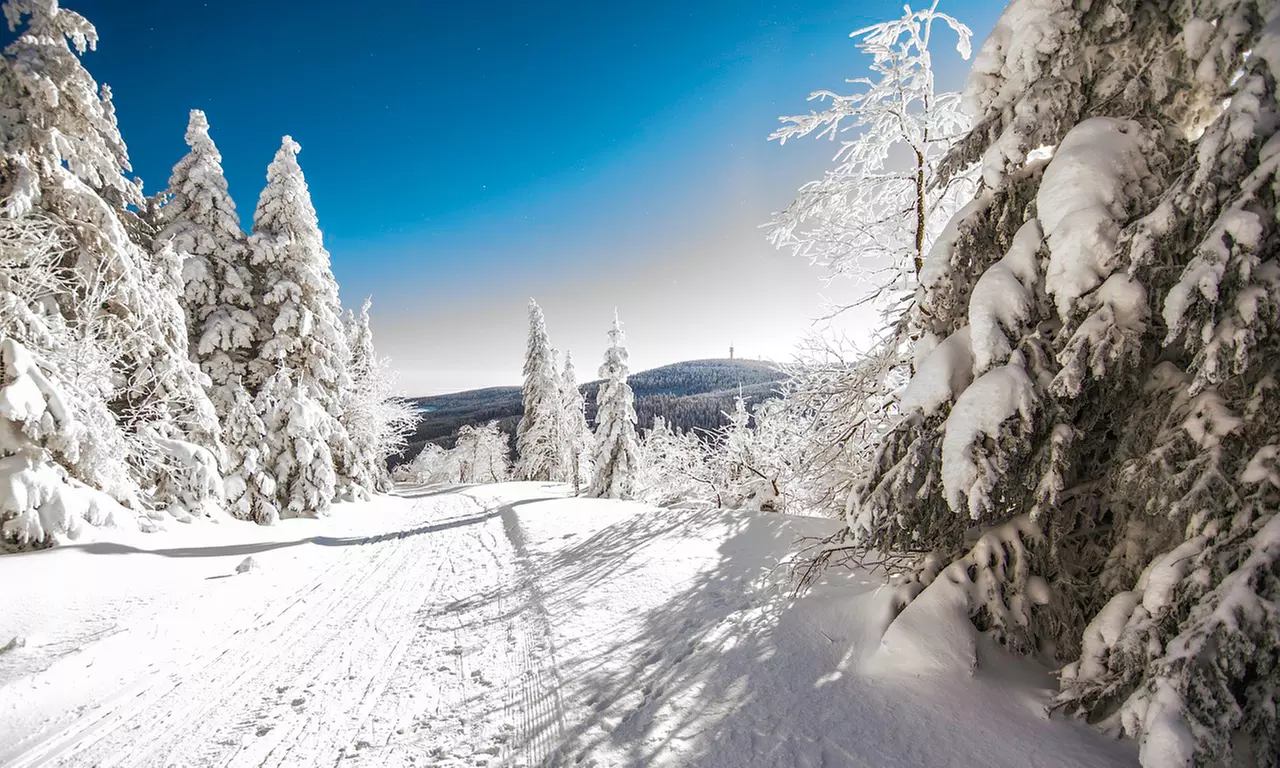 Hot Deal Thüringer Wald: 2-5 Nächte für Zwei mit Frühstück o. All Inclusive und Wellness im Resort Hotel Heubacher Höhe - Primary Image