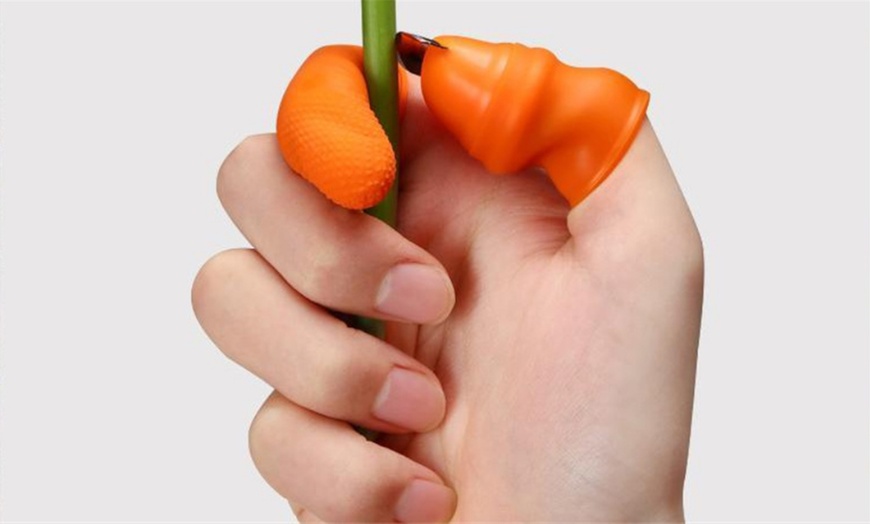 Up To 72% Off Farm Vegetable Fruit Picker | Groupon