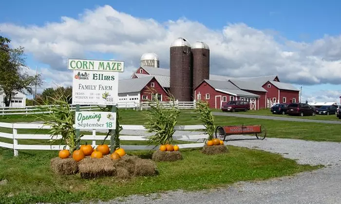 Admission for 2 or 4 with Corn Maze Admission and 20 Pounds of Pumpkins at Ellms Family Farm (Up to 27% Off) - Primary Image
