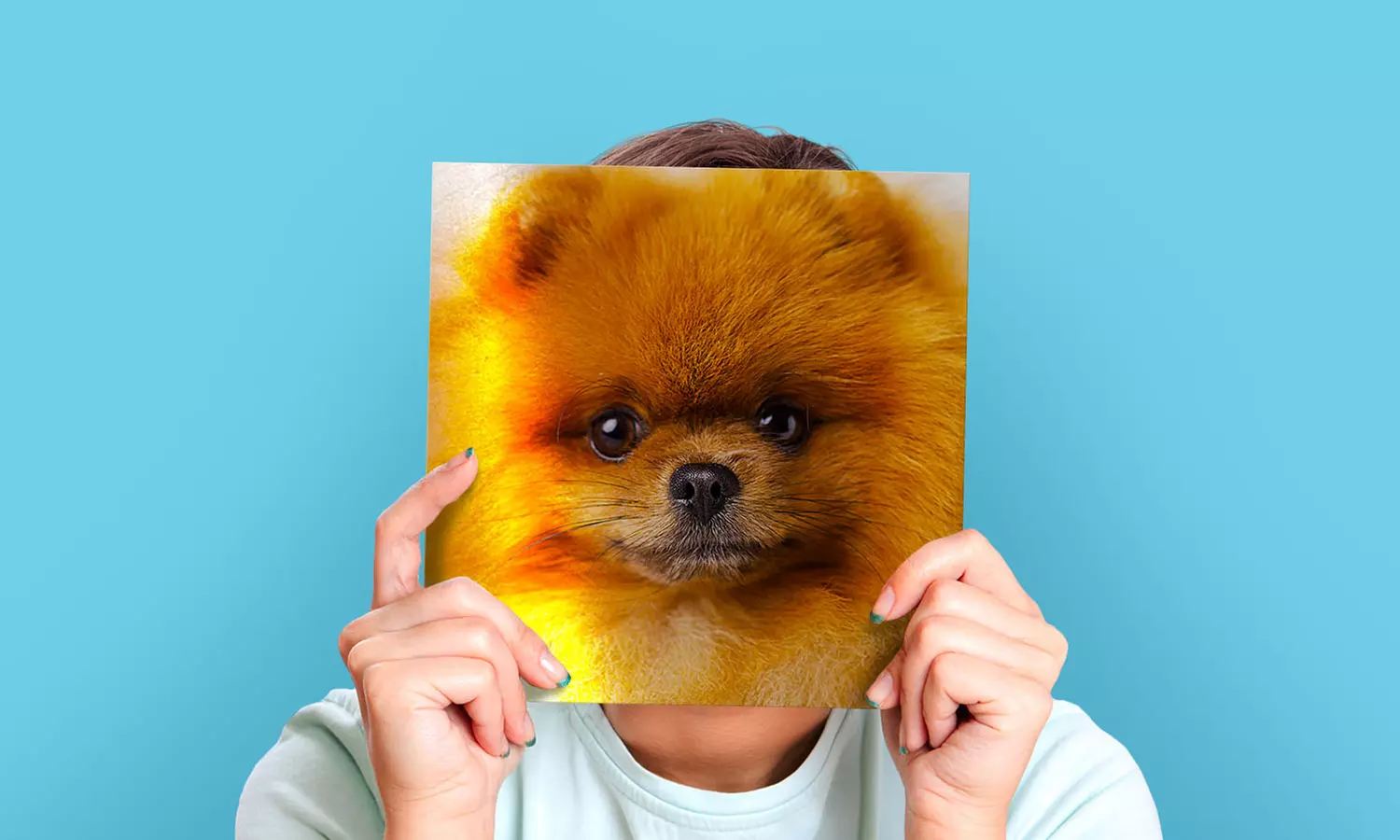 One, Two, Three, Four, Six, Nine, 12, or 18 Personalized Metal Prints from Printerpix (Up to 96% Off) - Second Medium