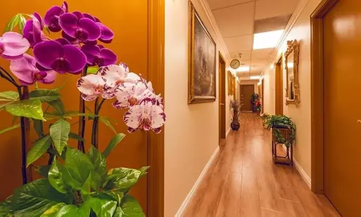 Refresh your Look with Signature Facials and Microdermabrasion