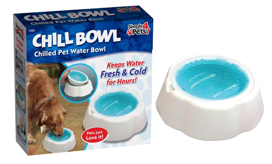 Image 1: Chilled Pet Water Bowl