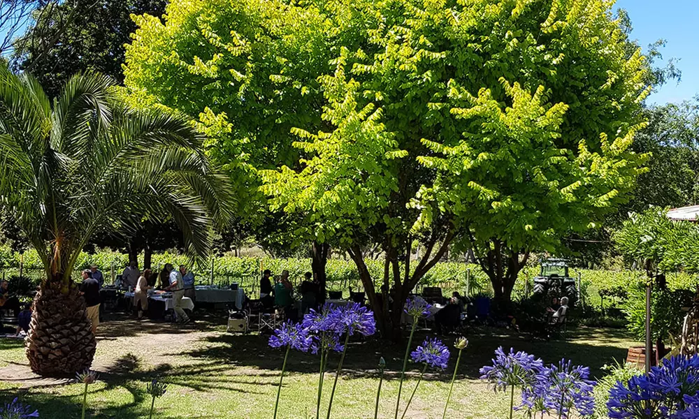 Winery Experience Package