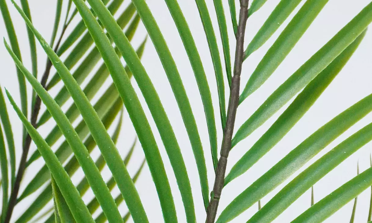 Collezione di piante finte da interno