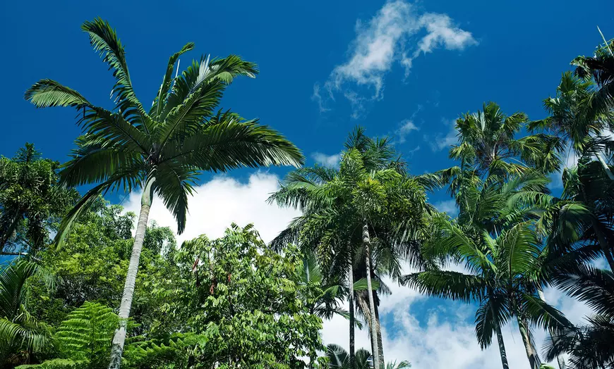 Image 2: Cairns: 3 Nights with Sightseeing Tour Included and Hotel Stay