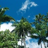 Image 2: Cairns: 3 Nights with Sightseeing Tour Included and Hotel Stay