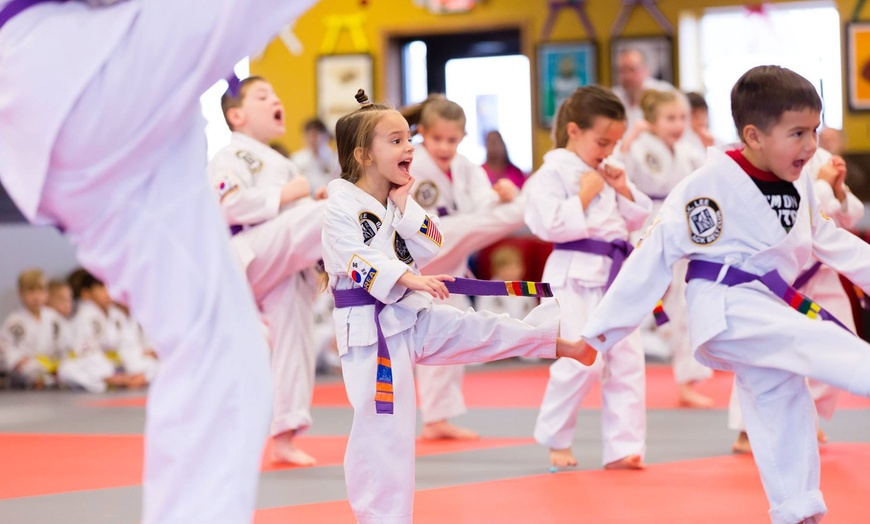 JK Lee Black Belt Academy - From $49 | Groupon