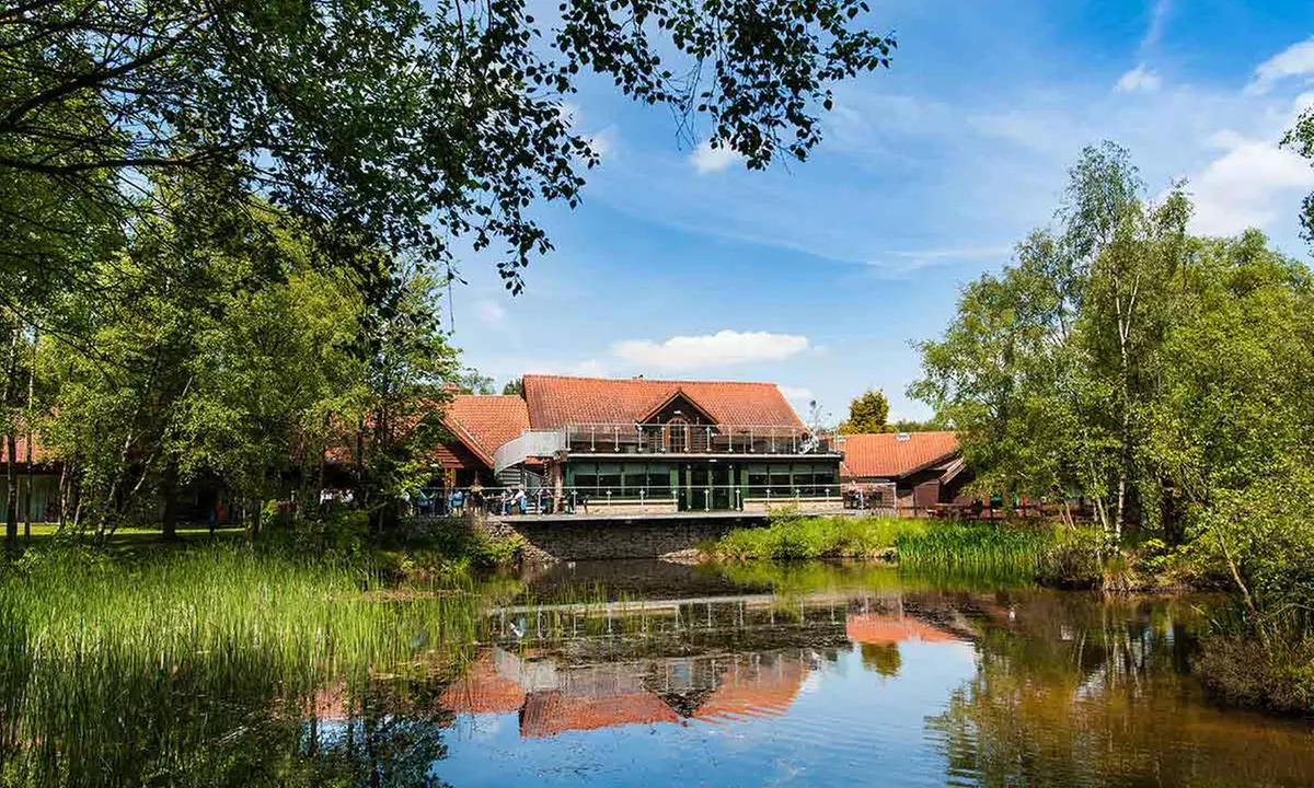 Savour Afternoon Tea with Optional Prosecco at The Lakeside Restaurant, Chevin Country Park Hotel—Up to 36%Off