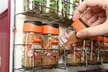 Chrome Herb and Spice Rack - Second Medium