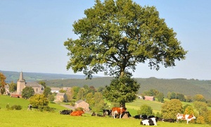 Ardennen: standaard of comfort tweepersoonskamer met ontbijt