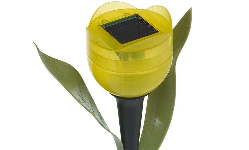 Image 9: Set of 6 or 12 Tulip-Shaped Garden Solar Lights