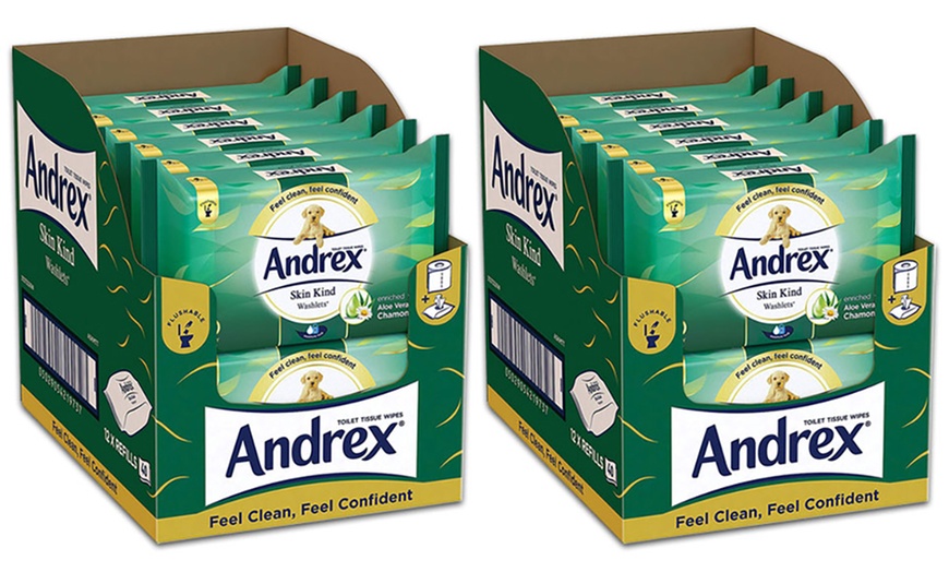 Image 17: Andrex Flushable Wipes
