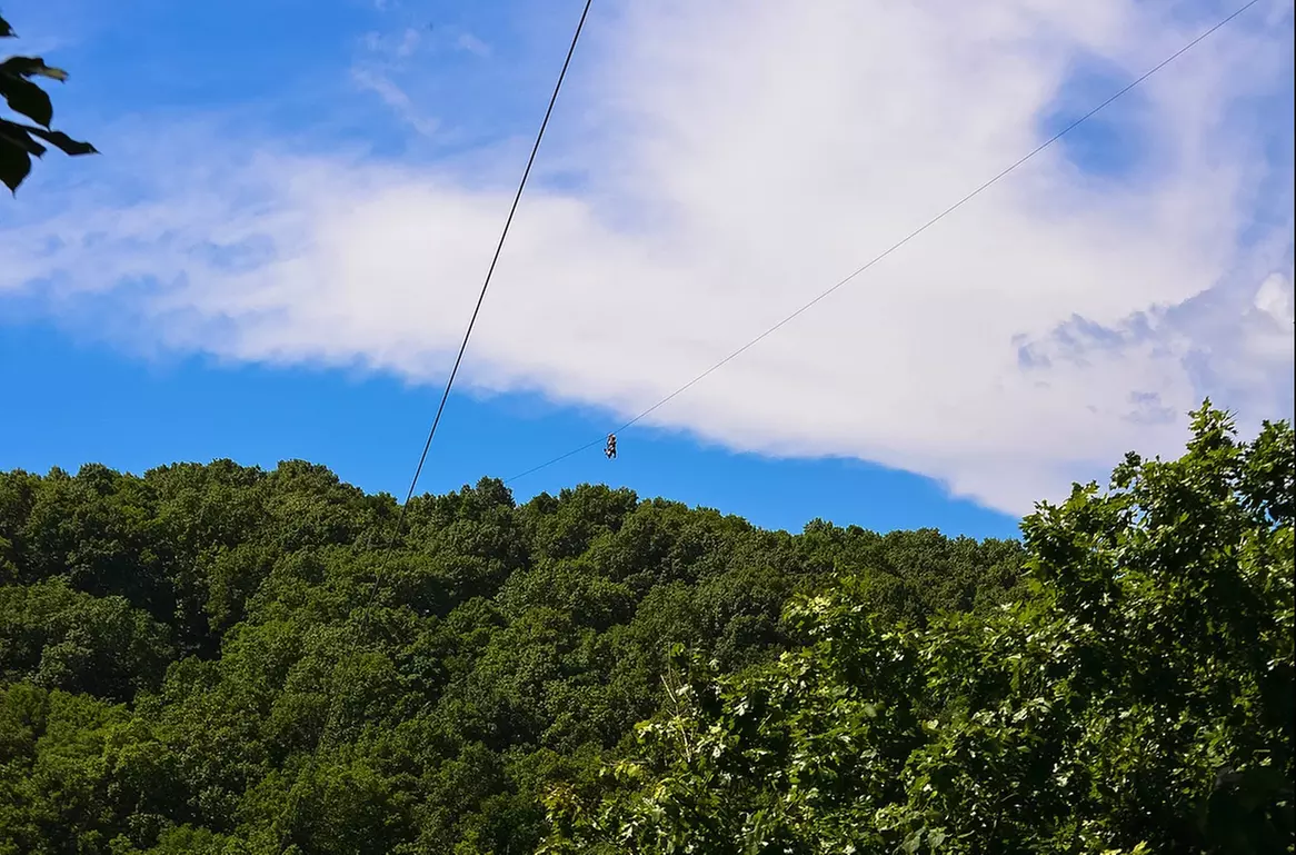 $79 for Two-Hour Ziplining Adventure for One at Zipline USA ($100 Value) - Second Medium