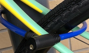 Wire Coated Bike Lock with Two Keys