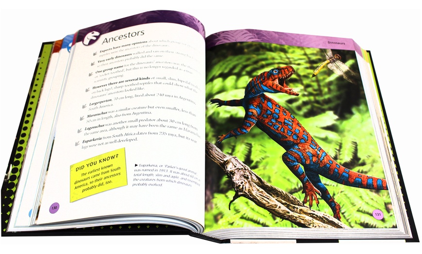 Image 5: Dinosaurs and Prehistoric Life Book