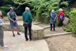 SF's WildSide, Redwood & Mountain Hike w/Meteorologist Tour / Golden Gate Park's Hidden Gem Tour (Up to 65% Off) - Second Medium