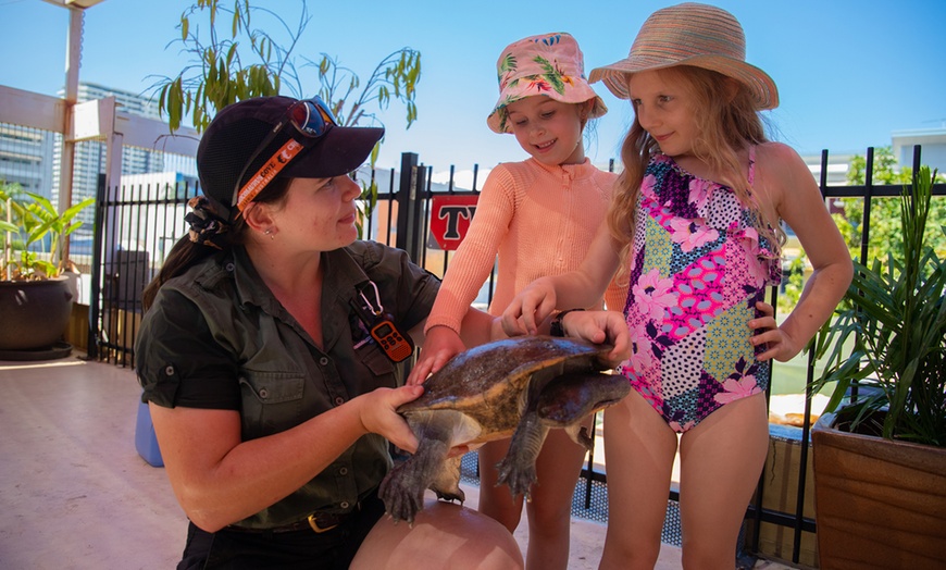 Image 19: Darwin: Cage of Death w/ Full Day Entry or Big Croc Encounter VIP Tour