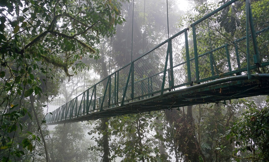 Image 9: 3- and 4-Star Mystery Costa Rica Hotel Stay with Tours