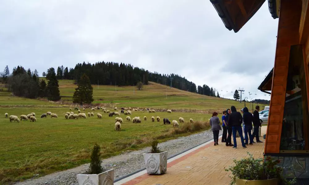 Podhale: 2-7 nocy ze śniadaniem i sauną