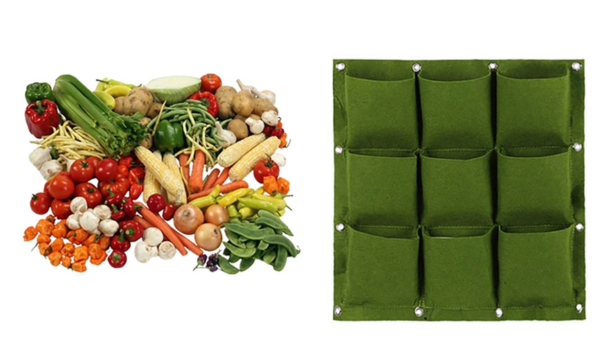 Image 4: Lot de 10 graines de légumes avec pochette ou sac de jardinage 