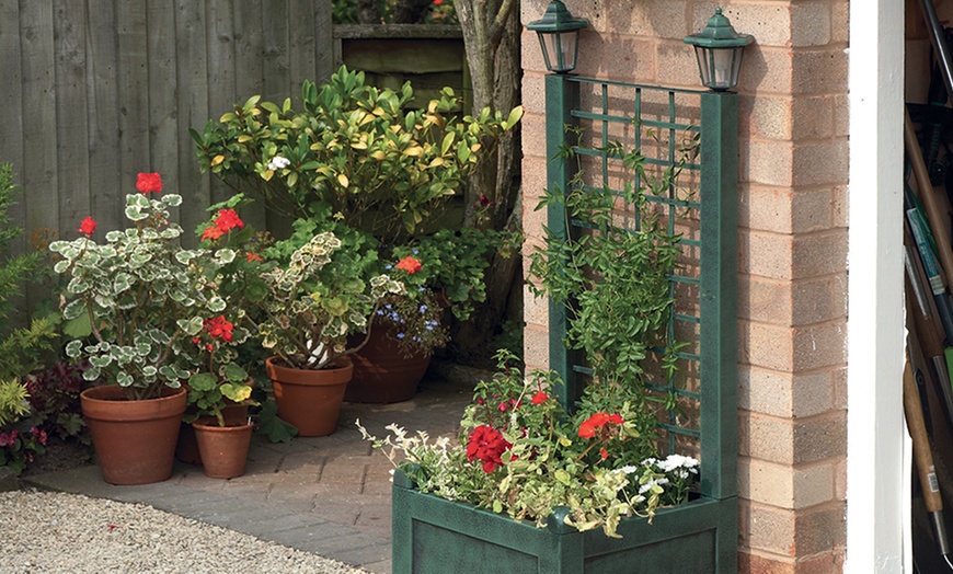 Image 4: Trellis Planter with Solar Lights