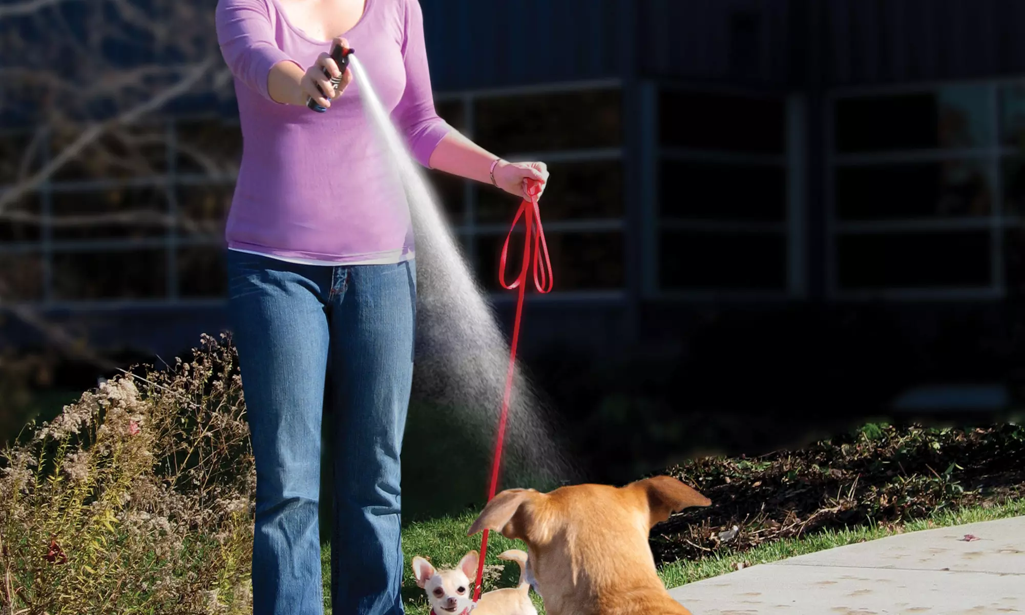 PetSafe SprayShield Animal Deterrent Spray - Primary Image
