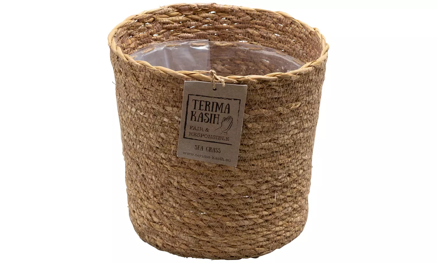 Set van 4 luchtzuiverende planten