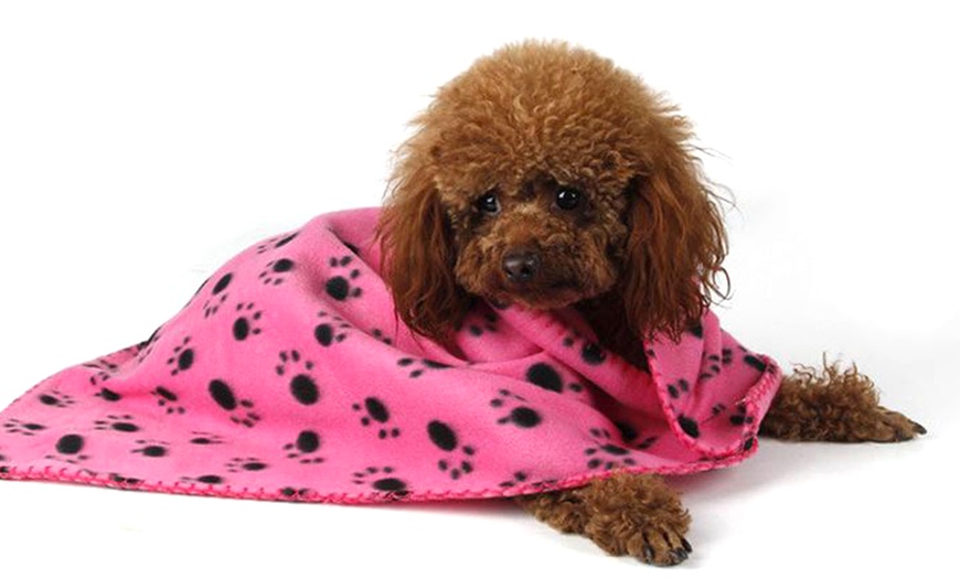 Image 1: Flannel Fleece Pet Blanket