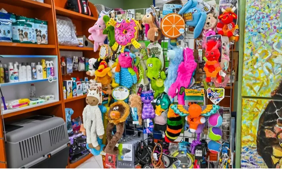 Veterinary Examination at Pet Connection Veterinary Clinic