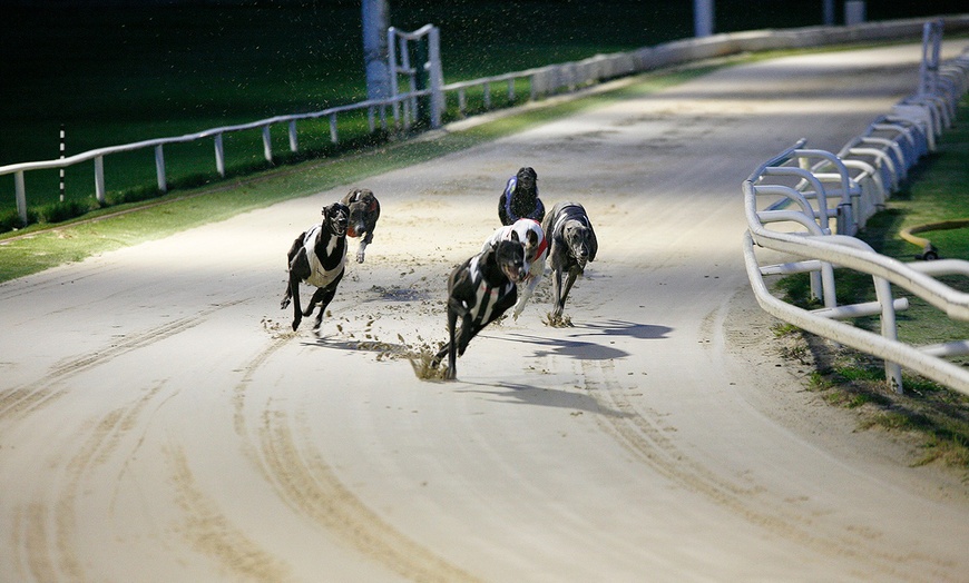 Image 8: Dog Race Entry and Meal with Drink at Towcester Racecourse