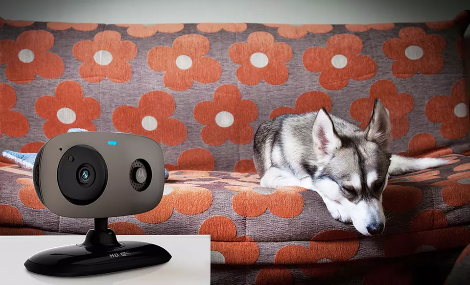 Motorola Scout66 HD Wi-Fi Pet Video Camera - Primary Image